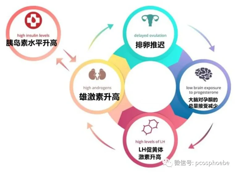 胰岛素抵抗的产生过程：身体发出的无声警告信号