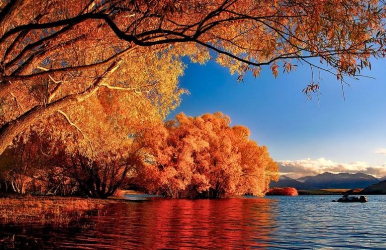 意外收获 37 天最短周期